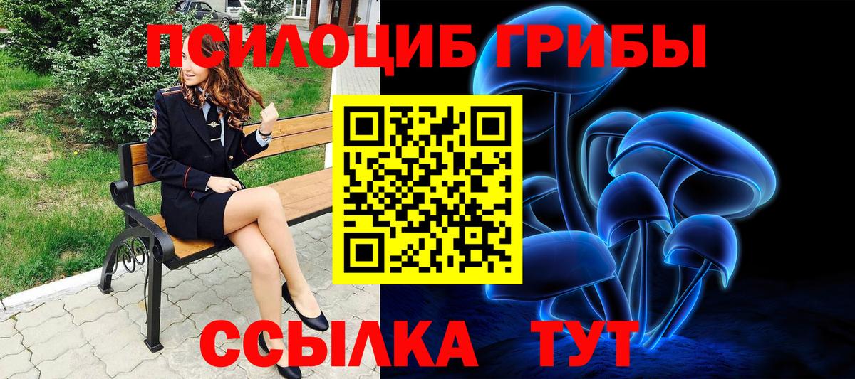 Новоалександровск  Галлюциногенные грибы GOLDEN TEACHER  Вход с VPN 