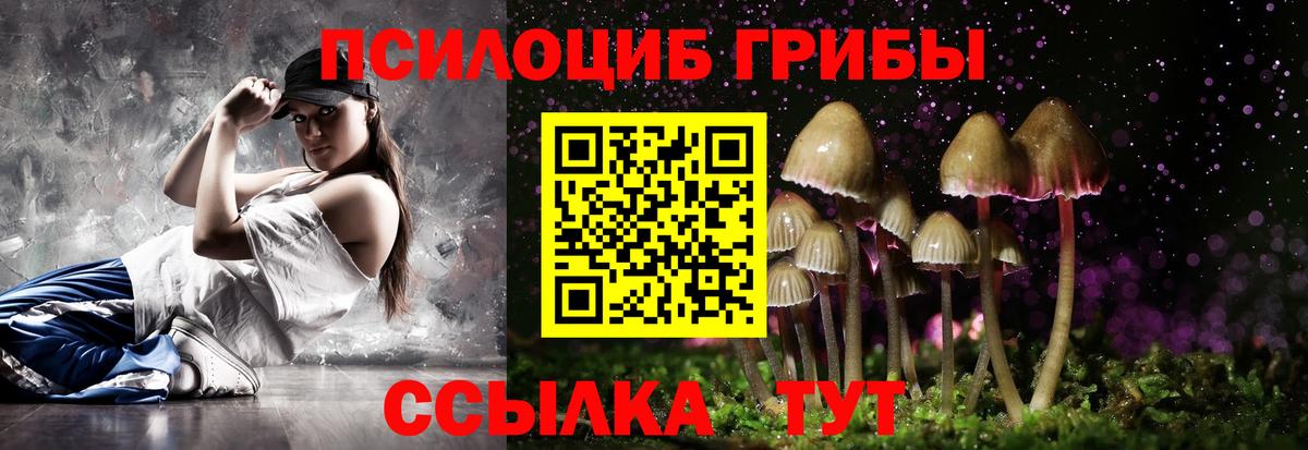 Псилоцибиновые грибы Magic Shrooms Новоалександровск